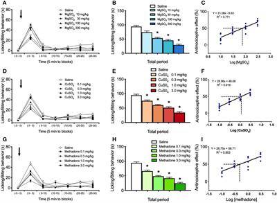 Magnesium Salt, a Simple Strategy to Improve Methadone Analgesia in Chronic Pain: An Isobolographic Preclinical Study in Neuropathic Mice